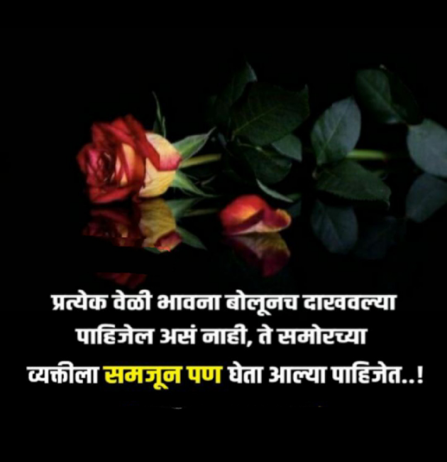 Marathi Whatsapp-Status by Sandeep Shinde : 111858442