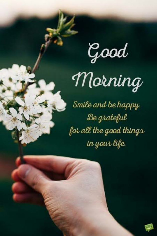 English Good Morning by Dr. Bhairavsinh Raol : 111858516