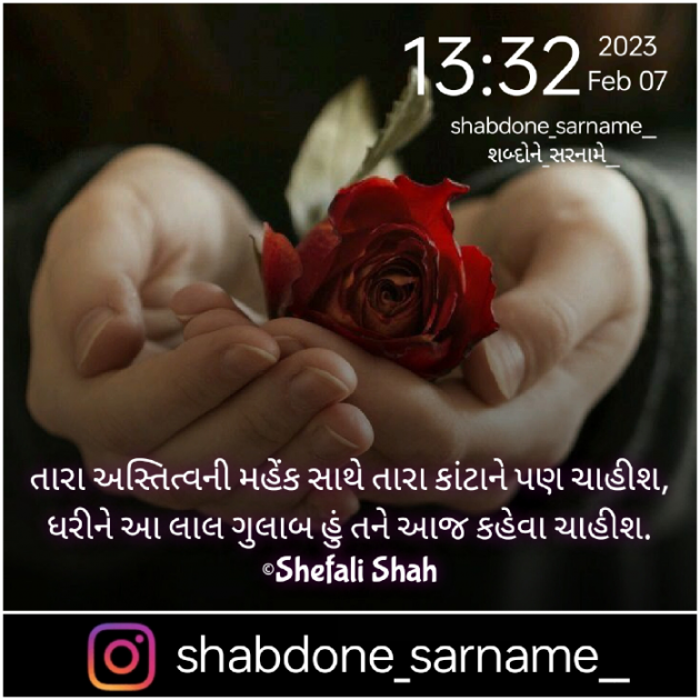 Gujarati Whatsapp-Status by Shefali : 111858567
