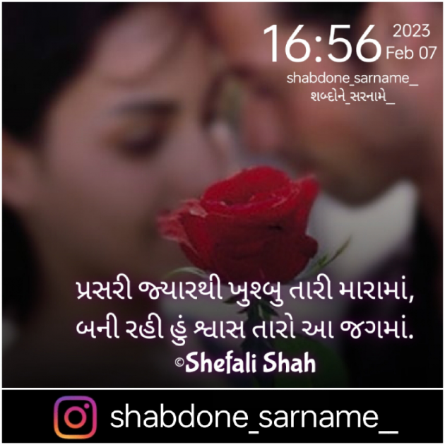 Gujarati Whatsapp-Status by Shefali : 111858577