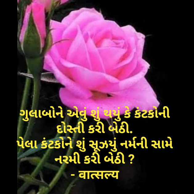 Gujarati Shayri by वात्सल्य : 111858626