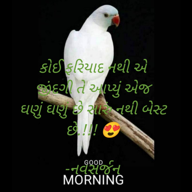 Gujarati Whatsapp-Status by નવસર્જન : 111859036