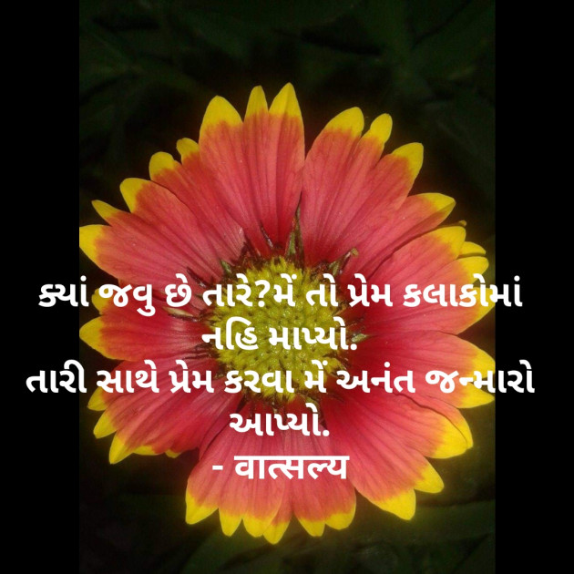 Gujarati Shayri by वात्सल्य : 111859492