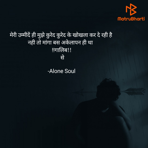 Hindi Quotes by Alone Soul : 111859600