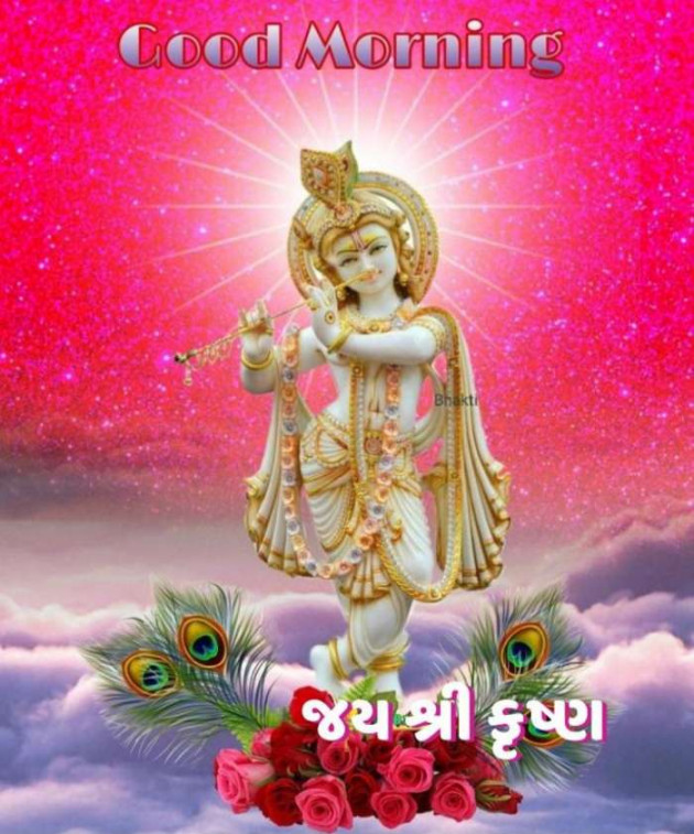 Gujarati Whatsapp-Status by Zala Jayvirsinh : 111860038