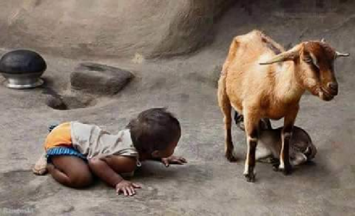 Post by Aslam Sandhi on 16-Feb-2023 04:03pm