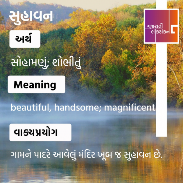 Gujarati Thought by Vinod TikmanII  The Art of Living Practicner : 111860217