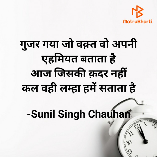 Hindi Blog by Sunil Singh Chauhan : 111860271