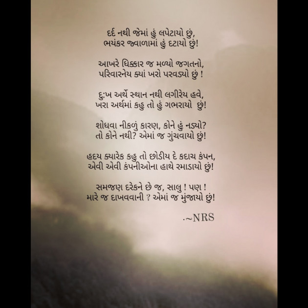 Gujarati Blog by Nency R. Solanki : 111860594