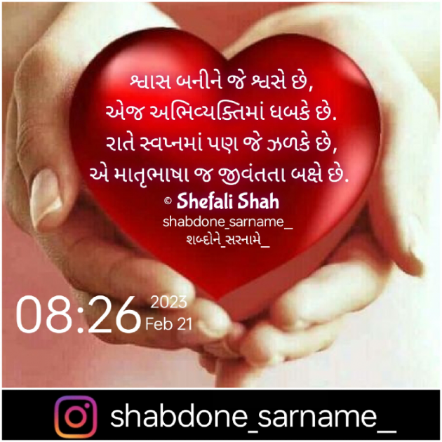 Gujarati Whatsapp-Status by Shefali : 111860935