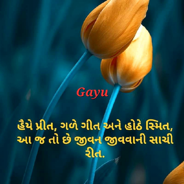 Gujarati Thought by G.... : 111861129