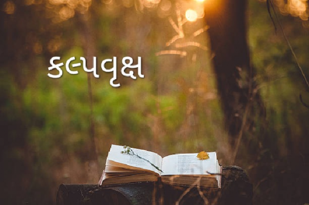 Gujarati Book-Review by Divya : 111861244