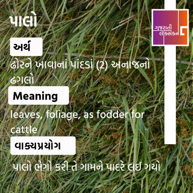 Gujarati Quotes by Vinod TikmanII  The Art of Living Practicner : 111861371