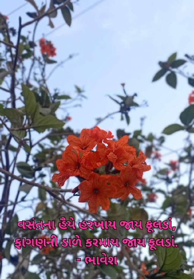 Gujarati Quotes by Parmar Bhavesh : 111861788