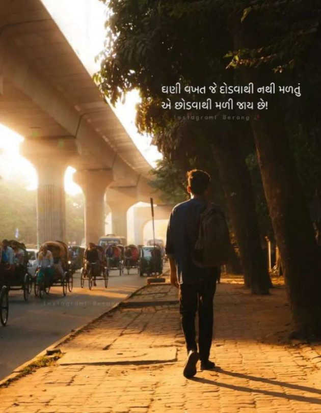 Gujarati Microfiction by Nilay : 111861793