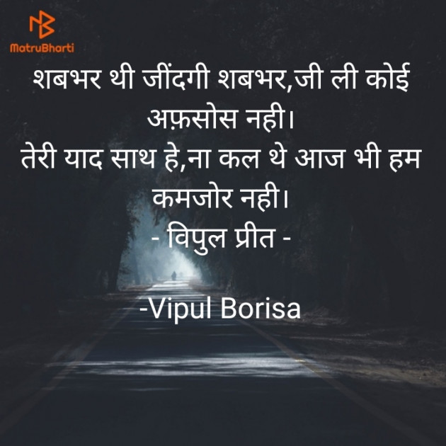 Hindi Whatsapp-Status by Vipul Borisa : 111862128