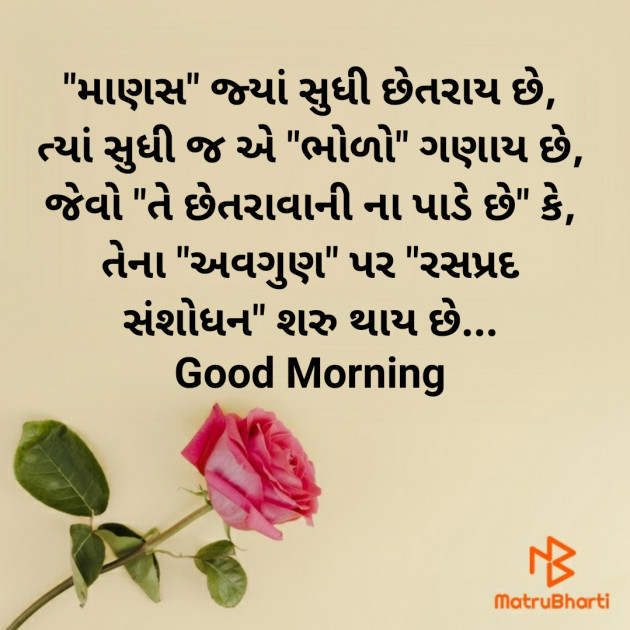 Gujarati Good Morning by Nirav Devani : 111862428