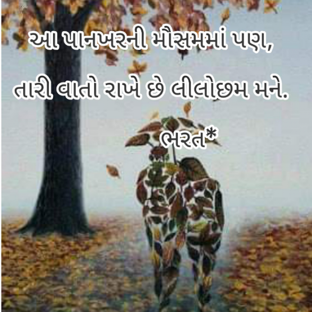 Gujarati Whatsapp-Status by Bharat : 111862449