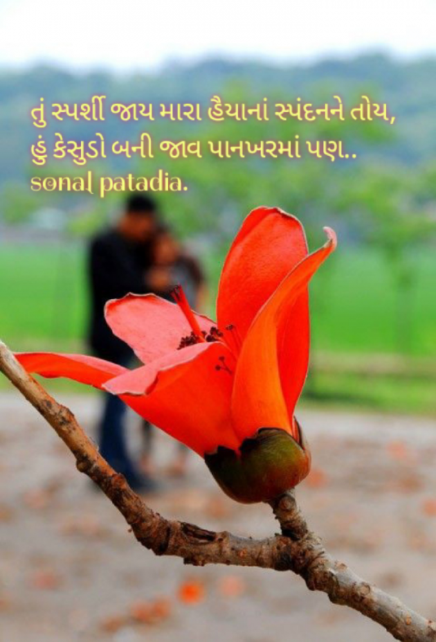 Gujarati Whatsapp-Status by Sonalpatadia darpan : 111863201