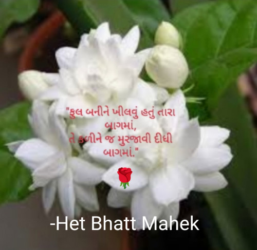 Post by Het Bhatt Mahek on 06-Mar-2023 07:39pm