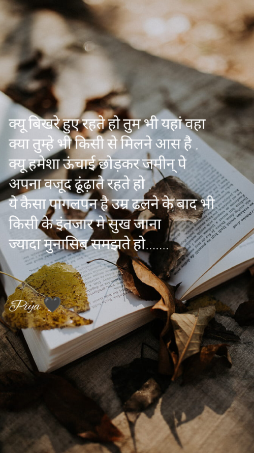 Post by Piya on 07-Mar-2023 09:56pm