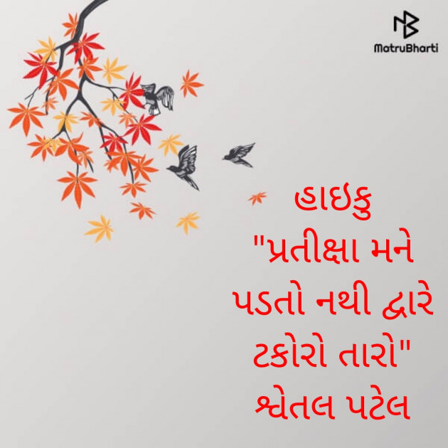 Gujarati Poem by Shwetal Patel : 111863857