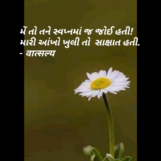 Gujarati Shayri by वात्सल्य : 111864526
