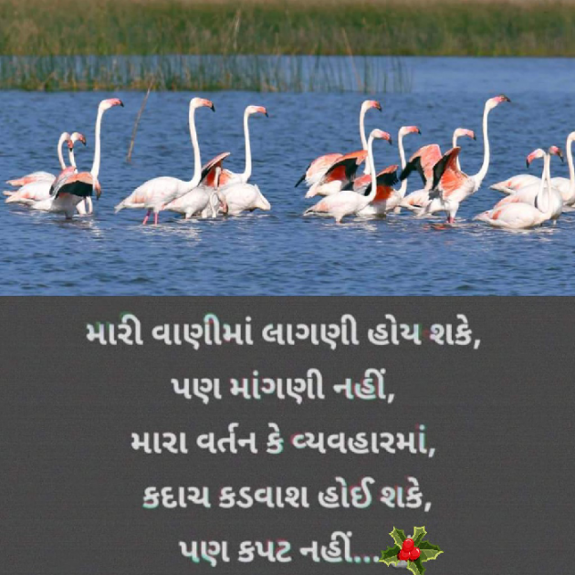 Gujarati Blog by Bhavna Bhatt : 111864716