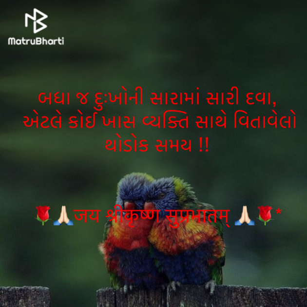 Gujarati Quotes by shah : 111865079