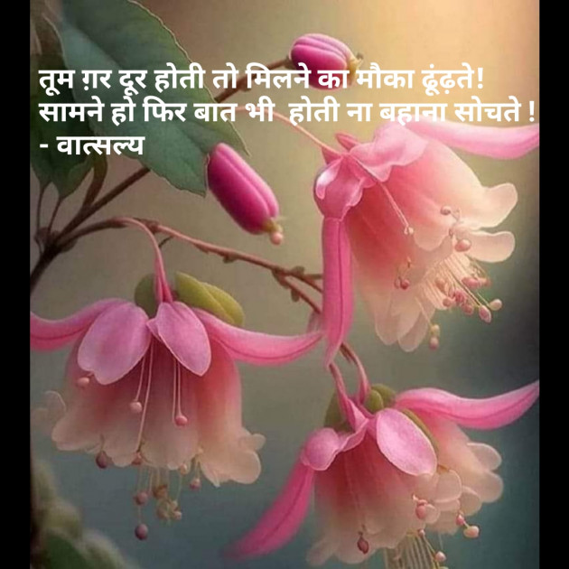 Hindi Shayri by वात्सल्य : 111865109