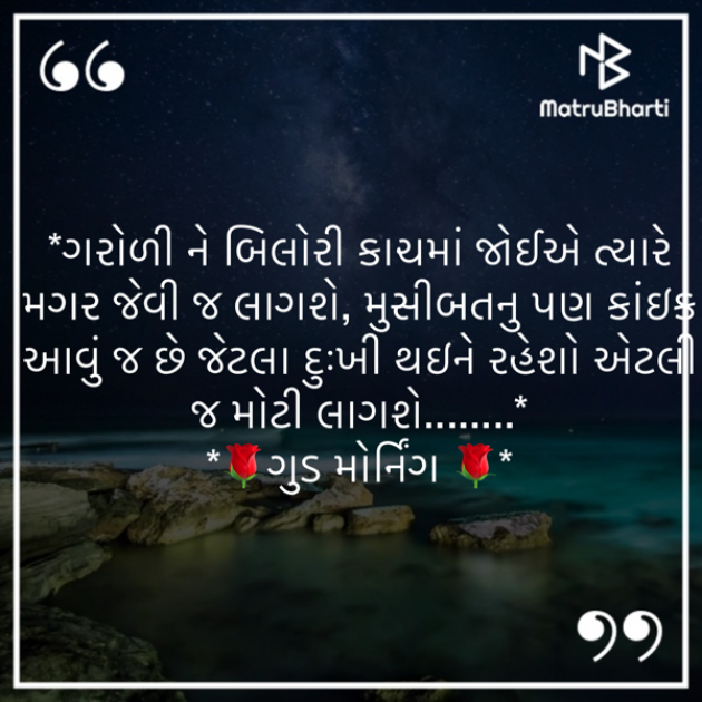 Gujarati Quotes by shah : 111865196