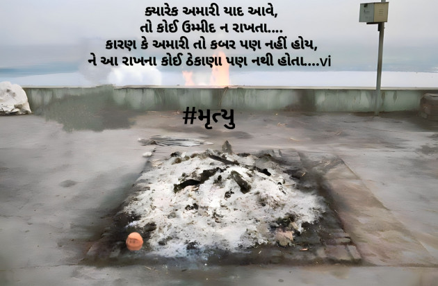 Gujarati Blog by vi wazir : 111865217