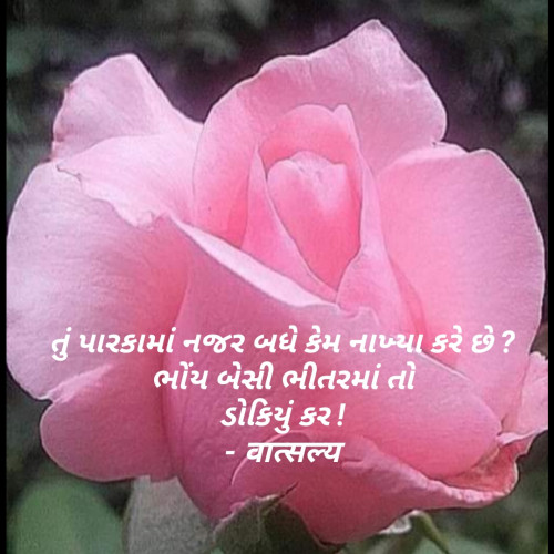 Post by वात्सल्य on 17-Mar-2023 09:46am