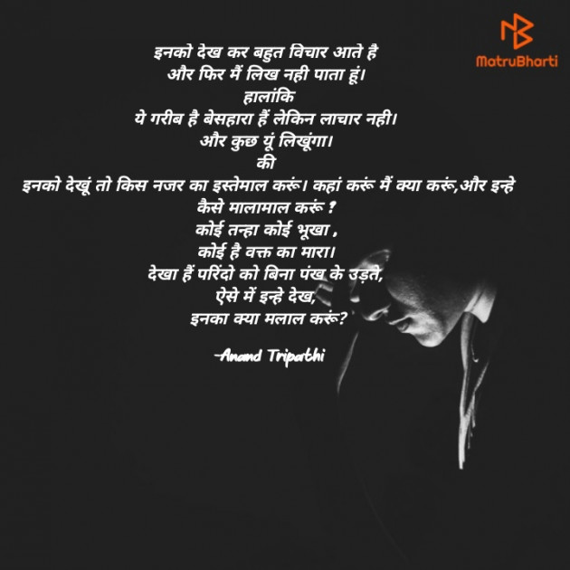 Hindi Shayri by Anand Tripathi : 111865482