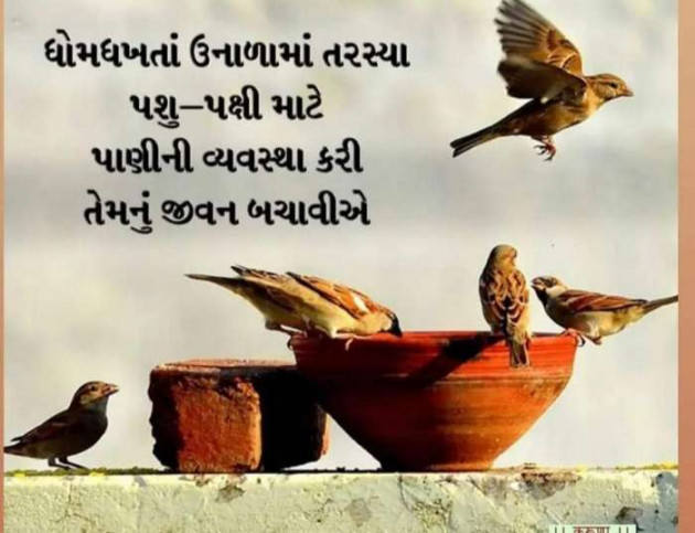 Gujarati Whatsapp-Status by Zala Jayvirsinh : 111865583