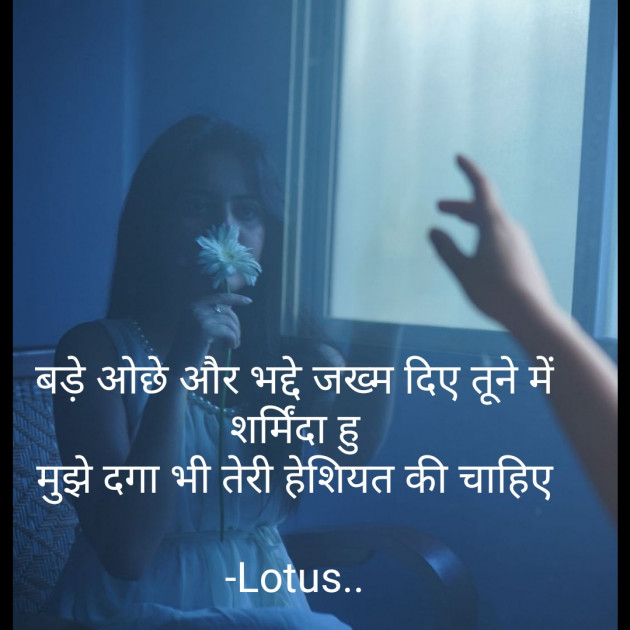 Hindi Blog by Lotus : 111865620