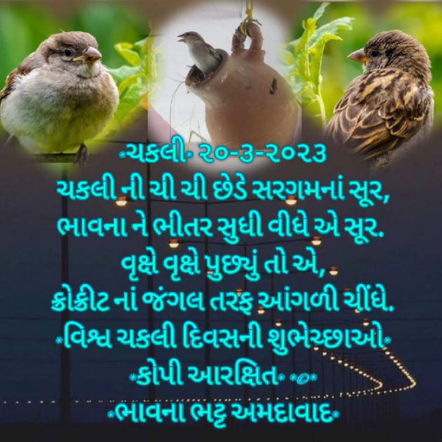 Gujarati Blog by Bhavna Bhatt : 111865646