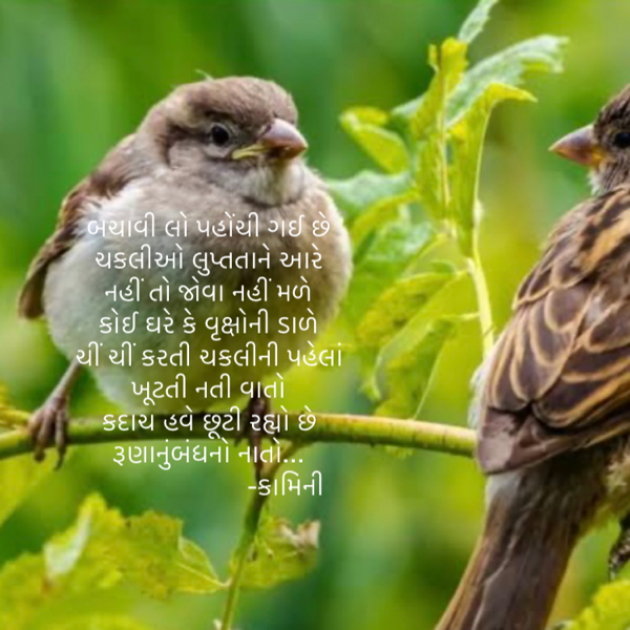 Gujarati Poem by Kamini Shah : 111865693