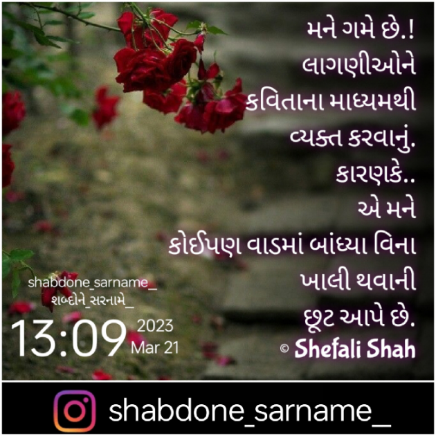 Gujarati Whatsapp-Status by Shefali : 111865863