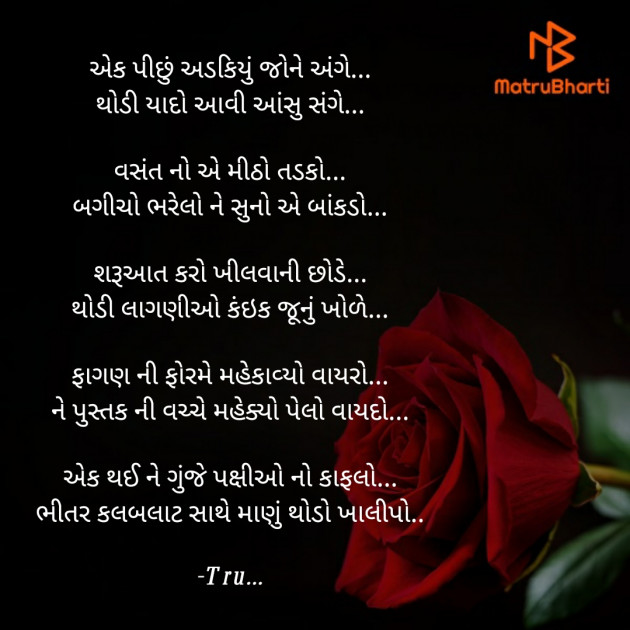 Gujarati Whatsapp-Status by Tru... : 111866037