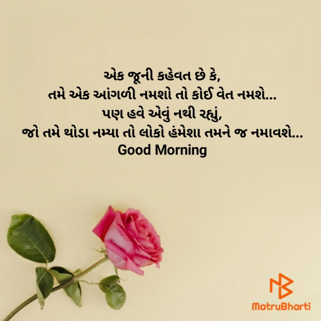 Gujarati Good Morning by Nirav Devani : 111866193