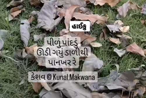 Post by Kunal Makwana on 24-Mar-2023 11:07pm