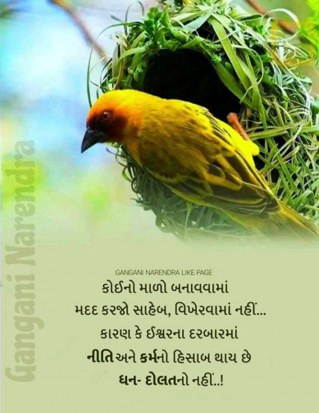 Gujarati Whatsapp-Status by Zala Jayvirsinh : 111866681