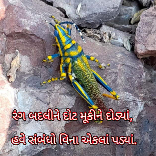 Gujarati Blog by Bhavna Bhatt : 111866907