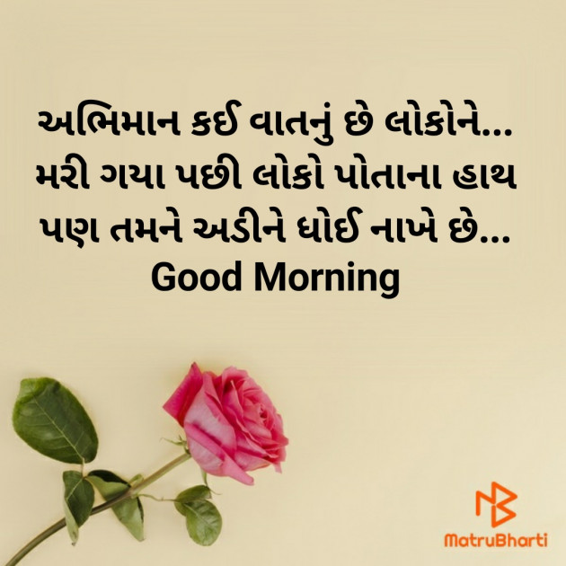 Gujarati Good Morning by Nirav Devani : 111867009