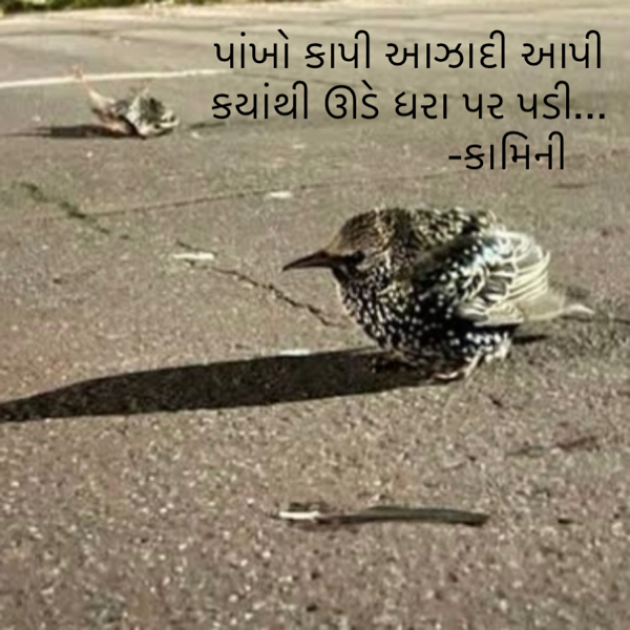 Gujarati Poem by Kamini Shah : 111867199