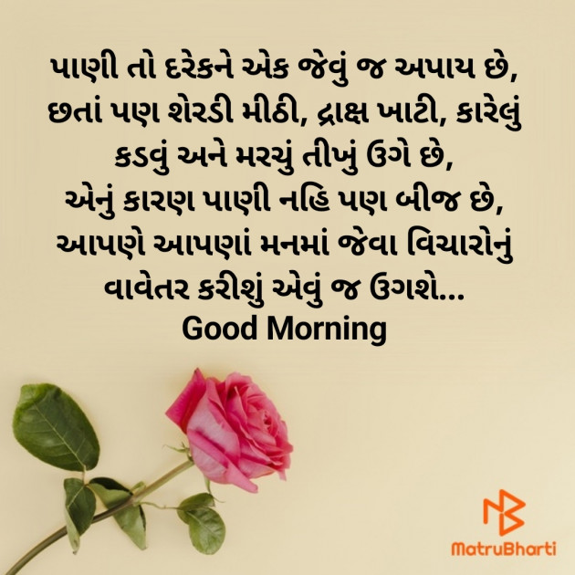 Gujarati Good Morning by Nirav Devani : 111867359