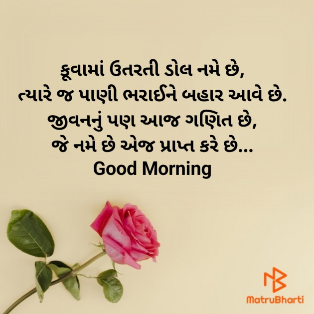 Gujarati Good Morning by Nirav Devani : 111867711