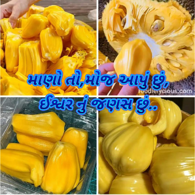 Gujarati Blog by Bhavna Bhatt : 111867745