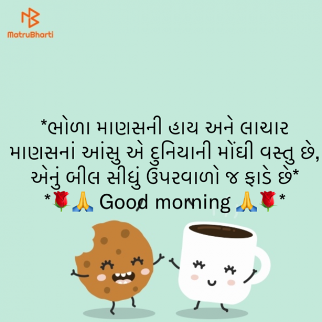 Gujarati Quotes by shah : 111867890